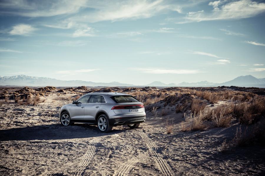  Audi Q8 50 TDI Quattro 2018 года  (WW) (фото 12 из 25)
